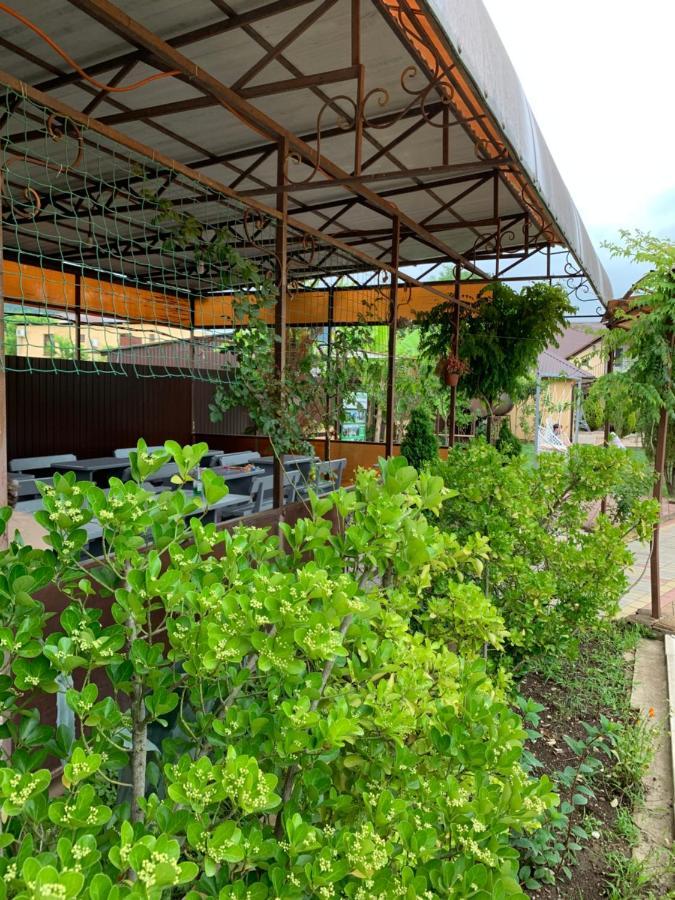 Comfort Tsandrypsh Ngoại thất bức ảnh